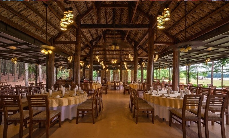 Chọn lò theo quy mô của nhà hàng